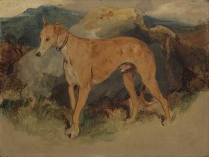 En hjortehund, 1826. av Edwin Landseer