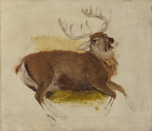 Døende hjort, ca. 1830. av Edwin Landseer