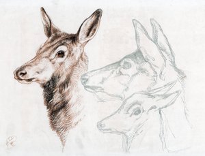 Faksimile av en tegning av Sir E Landseer, 1874. av Edwin Landseer