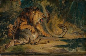 Løven forsvarer sitt bytte, ca. 1840.