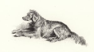 En setterhund av Edwin Landseer