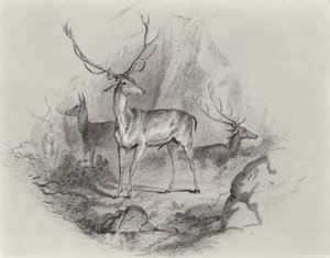 I Glen av Edwin Landseer