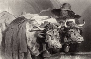 Okser ved tanken, Genève, Sveits av Edwin Landseer