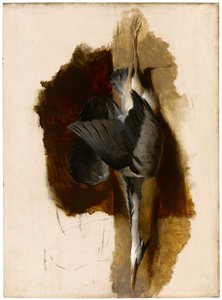 Studie av en død hegre, ca. 1832-33 av Edwin Landseer