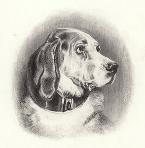Blodhunden av Edwin Landseer