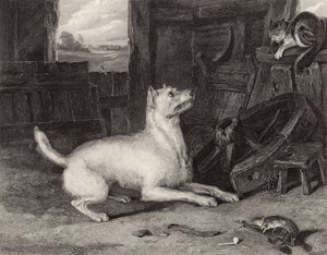 Inntrengeren av Edwin Landseer