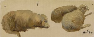 Tre sauer i ro (olje på papir) av Edwin Landseer