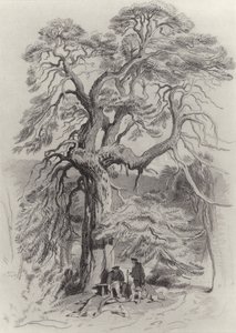 Under det gamle grantreet av Edwin Landseer