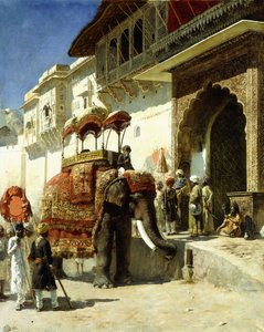 Rajahs favoritt, 1884-89