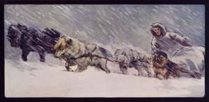 Et Esquimaux Sledge Dog Team (fargebilde) av Edwin Noble