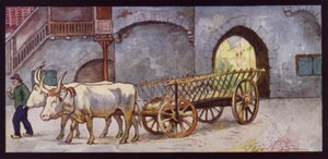Utkast til okser i Spania (farge litho)