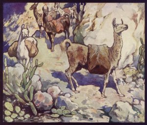 Lamaer i Andesfjellene (farge litho) av Edwin Noble