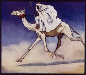 Racing Camel (farge litho)