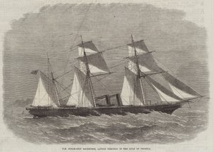 HM Steam-Ship Racehorse, nylig vraket i Pechelibukta av Edwin Weedon