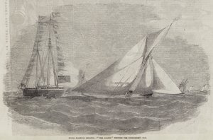 Royal Harwich Regatta, Amazon vinner Commodore