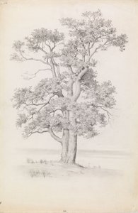 av Eero Järnefelt