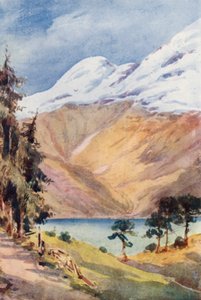  av Effie Jardine