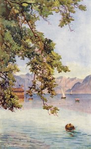  av Effie Jardine