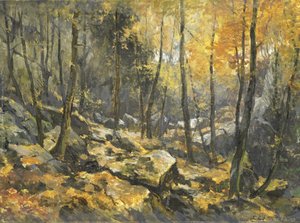 "Felsenmeer" av Egbert Rubertus Derk Schaap