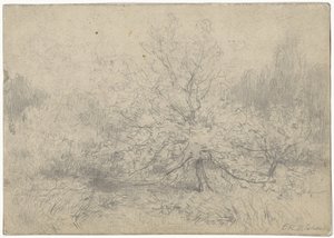 Landskap med et tre fremtredende i midten av Egbert Rubertus Derk Schaap