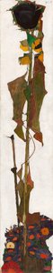 Solsikke, 1909-1910. av Egon Schiele