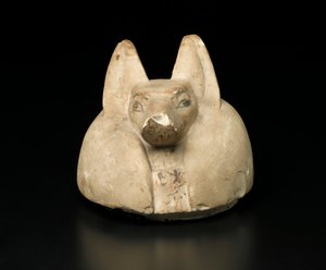 Sjakalhodet deksel av en baldakinkrukke (kalkstein) av Egyptian