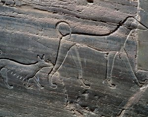 Et par hunder, avlastning fra inngangen, Sarenput II