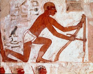 Egyptisk kunst: Tomb of Rekhmire. Ploucherarbeid med landbruksverktøyet sitt. Fresco of Luxor (Tebens sted, Sheikh Abd al-Gournahs nekropolis (Gournah), venstre bredd av Nilen, Egypt. - Det gamle Egypt: Rekhmires grav. Arbeidet til en plogmann med sin agri av Egyptian 18th Dynasty