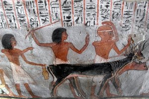 Egyptisk antikvitet: karakterer som leder betailhoder. Maleri av graven til Roy (TT255). 18. dynasti. Fra Vestbredden av Luxor, Egypt av Egyptian 18th Dynasty