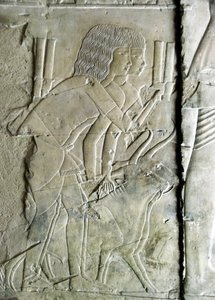Egyptisk antikvitet: kobles fra graven til Kha em Het (Khaemhat) loftsinspektør og skriver til hoffet til Amenophis III (TT57) som representerer menn som ofrer betehoder som et offer. 18. dynasti. 1530-1290 f.Kr. Vallee des Nobles. Luxor, Vestbredden, f.ek av Egyptian 18th Dynasty