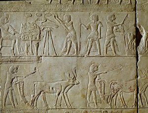 Egyptisk antikvitet: scener med arbeid på markene og ofringer til farao. Detalj av et relieff fra graven til Horemhed (cirka 1323-1293 f.Kr.) kongelig skriver av Tutankhamun. 1354-1326 f.Kr. Bologna, Civico Museo Archeologico av Egyptian 18th Dynasty
