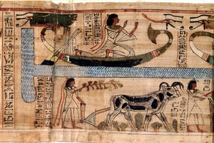 Egyptisk antikvitet: navnet på avdøde Aner representerer på båten til Osiris, scene for pløying og veiing av sjeler (psykostase). Papyrus fra en dødebok, 20. dynasti, fra Theben. Torino, egyptisk museum - Det gamle Egypt: navnet på de døde av Egyptian 18th Dynasty