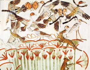 Fiske og fuglefangst i myrene, detaljer om fuglene, fra gravkapellet i Menna, New Kingdom (veggmaleri) av Egyptian 18th Dynasty