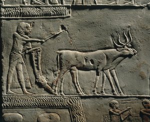  av Egyptian 18th Dynasty