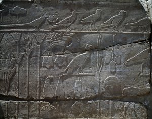 Planter og dyr brakt tilbake fra Thutmose IIIs ekspedisjon til Syria i 1465 f.Kr., detalj av lettelse, hall kjent som den såkalte botaniske hagen, Temple of Amun, Karnak Temple Complex, Egyptian Civilization, New Kingdom, Dynasty XVIII av Egyptian 18th Dynasty