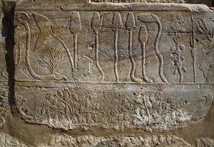  av Egyptian 18th Dynasty