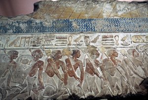  av Egyptian 18th Dynasty