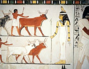  av Egyptian 18th Dynasty