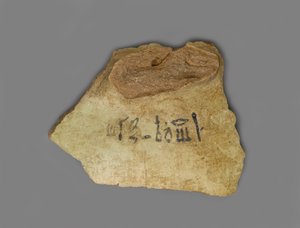 Vinetikett, funnet i Palace of Amenhotep III, Theben, New Kingdom (terrakotta med pigment)