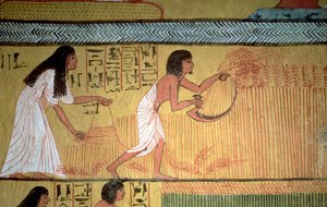 Detalj av en innhøstingsscene på østmuren, fra graven til Sennedjem, The Workers" Village, New Kingdom av Egyptian 19th Dynasty