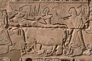 Detalj av et relieff som viser menn som leder en ku, Ramesses II (1298-32 f.Kr.) gårdsplass (kalkstein) av Egyptian 19th Dynasty