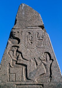  av Egyptian 19th Dynasty