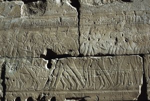  av Egyptian 19th Dynasty