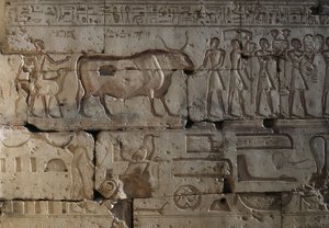 Relieff, Temple of Ramses II, Abydos, Egypt, egyptisk sivilisasjon, New Kingdom, Dynasty XIX (bilde) av Egyptian 19th Dynasty