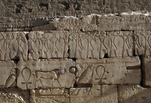 Relieff, Temple of Ramses II, Abydos, Egypt, egyptisk sivilisasjon, New Kingdom, Dynasty XIX (bilde) av Egyptian 19th Dynasty