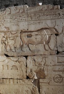 Relieff, Temple of Ramses II, Abydos, Egypt, egyptisk sivilisasjon, New Kingdom, Dynasty XIX (bilde) av Egyptian 19th Dynasty