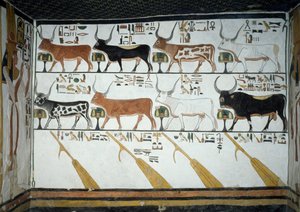 Syv himmelske kyr, ektemann okse og fire styrende årer, kapittel 148 i Book of Dead, detalj fra fresker i andre kammer av Tomb of Nefertari, Valley of Queens, Luxor, Theben. Egyptisk sivilisasjon, New Kingdom, Dynasty XIX. av Egyptian 19th Dynasty