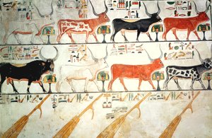 De syv himmelkyrne og den hellige oksen og himmelens fire ror, fra graven til Nefertari, New Kingdom (veggmaleri) av Egyptian 19th Dynasty
