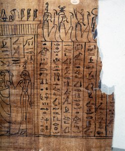 The Book of the Dead: Egyptisk hieroglyf på en papyrus fra det 22. dynastiet. Detalj. 9. århundre f.Kr. Torino, egyptisk museum.