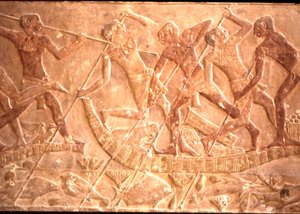 Menn som spyr fisk fra Papyrus-båt, Ptah-Hotep-graven, 5. dynasti (bilde) av Egyptian 5th Dynasty